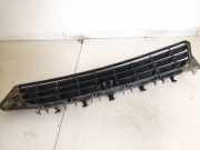 K?hlergrill - Vorne Center Opel Signum, 2003.05 - 2008.06 13100588,00551004542