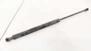 Gasdruckfeder Kofferraum Peugeot 307, 2000.08 - 2005.06 Gebraucht,
