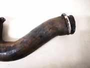 Intercooler Schlauch Citroen C8, I 2002.07 - 2008.06 Gebraucht,