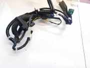 Kabelbaum Nissan Leaf, I 2010 - 2017.12 241253nm0b,