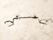 Stabilisator Vorne Renault Scenic, II 2003.06 - 2006.06 Gebraucht,