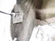 Radhausschale - Hinten Rechts Volkswagen Passat, B6 2005.08 - 2010.11 Gebraucht , BWA