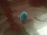 Waschwasserdüse Scheibenreinigung Peugeot 407, 2004.05 - 2010.12 Gebraucht,