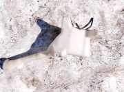 Scheibenwaschbeh?lter Vorne Wischwasserbeh?lter Honda Accord, 2003.02 - 2005.09 Gebraucht,