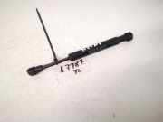 Gasfeder f?r Motorhaube Volkswagen Touareg, 2002.10 - 2007.09 d56070,d-56070 AXQ