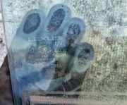 Seitenscheibe - Hinten Rechts Lexus IS, II 2005.10 - 2013.03 AS2, E6 43R-005834