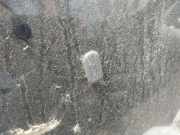 Waschwasserdüse Scheibenreinigung Ford Mondeo, 2000.11 - 2007.03 Gebraucht ,