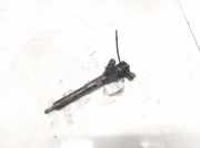 Einspritzdüse Renault Kangoo, 2008.02 - 2020 0445110485,H8201108033