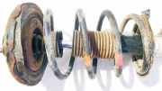 Fahrwerksfeder vorne Nissan Primera, P12 2002.01 - 2008.12 Gebraucht,