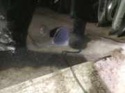 Waschwasserdüse Scheibenreinigung Volvo S40, 2004.01 - 2007.03 Gebraucht,