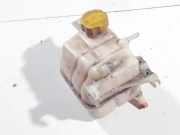 Ausgleichsbeh?lter Chevrolet Captiva, 2006.01 - 2011.06 96837836,