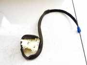 Antenne Verstärker Renault Zoe I 2012 - 2020.06 259752753r, r16-9616