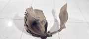 Radhausschale - Hinten Rechts BMW X3 E83, 2003.01 - 2010.06 Gebraucht,
