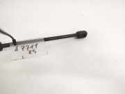 Gasfeder für Motorhaube Hyundai Coupe, 2001.08 - 2009.08 811612C001, 81161-2C001 0486SL0200N