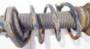 Fahrwerksfeder vorne Ford Focus, 2004.11 - 2008.06 Gebraucht,