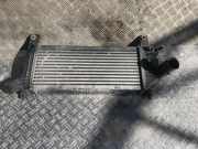 Ladeluftkühler Nissan Navara, II D40 2005.07 - 2010.02 14461eb360, 14461-eb360 f6864