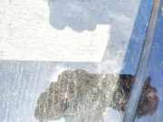 Seitenscheibe - Vorne Linke Mercedes-Benz W251 2005 - 2011 Gebraucht,