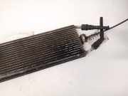 Kraftstoffkühler Kraftstoff Kühler Volkswagen Passat, B6 2005.08 - 2010.11 Gebraucht,