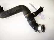 Kühlerschlauch Audi A6, C5 2001.08 - 2005.01 facelift 2023213,