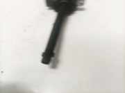 Zündspule Nissan X-Trail, 2007.06 - 2013.01 0221604014, 1220703039