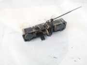 Lampenträger Heckleuchte - Hinten Renault Laguna, I 1994.01 - 2001.03 Gebraucht,