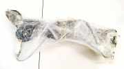 Fensterheber - Hinten Linke Volkswagen Passat, CC I 2008.01 - 2011.06 Gebraucht,