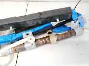 Sicherheitsmodul Seitenverkleidung Dodge Caliber, 2006.08 - 2009.01 Gebraucht,