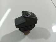 Schalter für Fensterheber Renault Kangoo, 2003.05 - 2007.06 838099G,838 099 G 24 359 24359