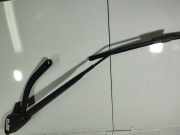 Wischerarm hinten Renault Scenic, II 2003.06 - 2006.06 Gebraucht,