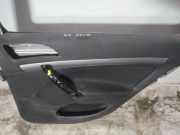 Türverkleidung - Hinten Rechts Skoda Octavia, II 2004.02 - 2009.03 Gebraucht,