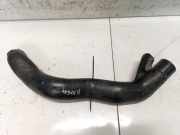 Intercooler Schlauch Renault Espace, III 1996.11 - 2002.10 7700101057,