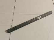 Einstiegsleiste vorne rechts Nissan Primera, P12 2002.01 - 2008.12 769B0AV700,769B0 AV700