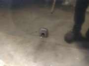 Waschwasserdüse Scheibenreinigung Volvo V70, I 1996.11 - 2001.01 Gebraucht,