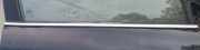 Zierleiste Leiste - Vorne Rechts Hyundai Sonata V (NF) 2005.01 - 2010.12 Gebraucht,