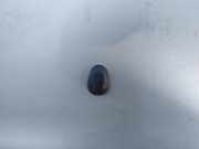 Waschwasserd?se Scheibenreinigung Nissan Almera Tino 2000.08 - 2003.09 Gebraucht,