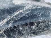 Radhausschale - Vorne Rechts Nissan Almera, N16 2003.01 - 2006.12 facelift 638405m310,