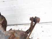 Stabilisator Vorne Toyota Corolla Verso, III 2004.05 - 2007 Gebraucht,