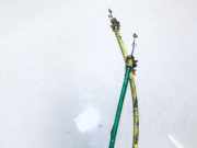 Kabel Seat Ibiza, II 1999.08 - 2002.02 facelift Gebraucht,