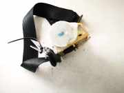 Sicherheitsgurt - Hinten Rechts Opel Vectra, B 2000.09 - 2002.04 facelift 90462772,