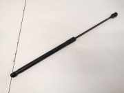 Gasdruckfeder Kofferraum Mercedes-Benz A-CLASS, W169, 2004.09 - 2008.09 a1697400345,