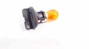 Glühbirnenfassung Blinker Renault Scenic, III 2009.02 - 2013.06 Gebraucht,