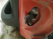 Türfangband Türbremse Türstopper - Vorne Linke Citroen DS3, I 2009.01 - 2016.06 Gebraucht,