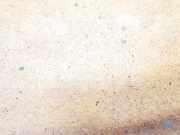 Hutablage Audi A6, C6 2005.01 - 2008.10 4f5863411bf,