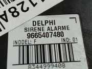 Alarmanlage Citroen C4 Grand Picasso, I 2006.01 - 2013.06 9665407480,9665407480