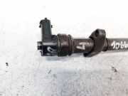 Einspritzdüse Renault Master, II 1997.01 - 2002.12 8200112289, 0445110102