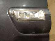 Blinkleuchte Kotflügel - Vorne Linke Audi A8, D3 2002.09 - 2005.6 Gebraucht,