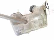 Ausgleichsbehälter Renault Scenic, II 2006.06 - 2009.02 facelift 8200262036,
