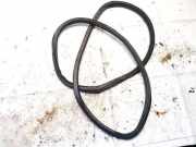 Türdichtung - Vorne Linke Volkswagen ID.4, 2020 --> 11a867911b, EBJA