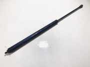Gasdruckfeder Kofferraum Fiat Panda 2003 - 2012 46827091,