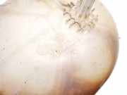 Ausgleichsbehälter Fiat Stilo, 2001.10 - 2007.01 51722078,